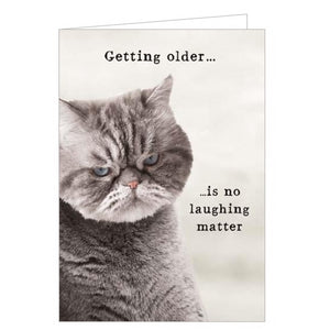 This funny birthday card features a photograph of a grumpy looking grey cat. The caption on the front of the card reads "Getting older..is no laughing matter".
