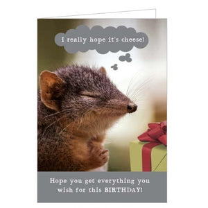This funny birthday card features a image of a mouse, with its eyes closed and paws together, making a birthday wish of "I really hope it's cheese". The caption on the front of the card reads "Hope you get everything you wish for this BIRTHDAY!"