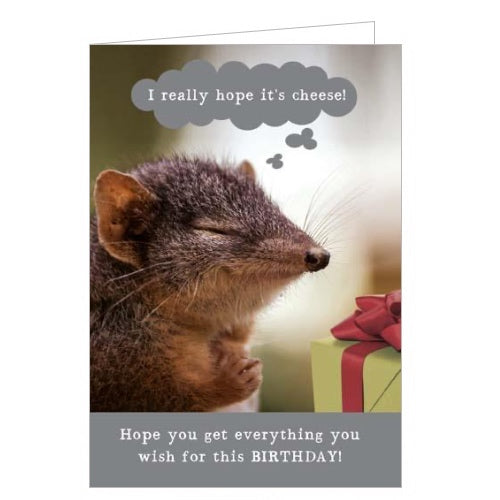 This funny birthday card features a image of a mouse, with its eyes closed and paws together, making a birthday wish of 