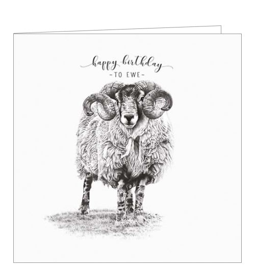 This birthday card from Pigment Production's Life in Pencil card range is decorated with a black and white sketch of sheep with large, curled horns. The caption on the front of the card reads 