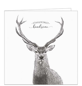 This birthday card from Pigment Production's Life in Pencil card range is decorated with a black and white sketch of an elegant stag, complete with majestic antlers. The caption on the front of the card reads "Staggeringly handsome."