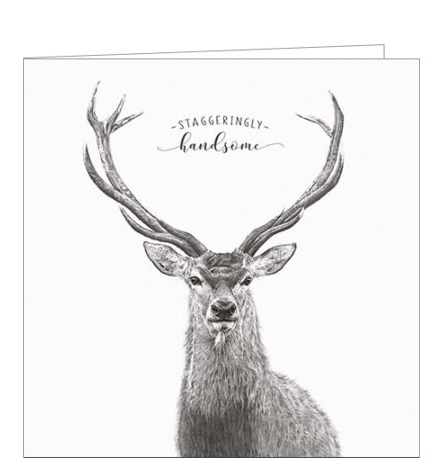 This birthday card from Pigment Production's Life in Pencil card range is decorated with a black and white sketch of an elegant stag, complete with majestic antlers. The caption on the front of the card reads 