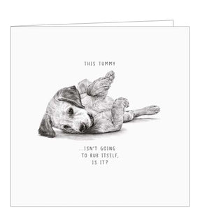 This sweet greetings card from Pigment Production's Life in Pencil card range is decorated with a black and white sketch of a dog lying on its back. The caption on the front of the card reads "This tummy isn't going to rub itself, is it?"