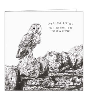 This birthday card from Pigment Production's Life in Pencil card range is decorated with a black and white sketch of an owl perched on a stone wall. The caption on the front of the card reads "To be old & wise..you first have to be young & stupid!"