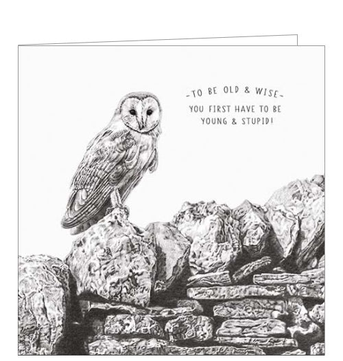 This birthday card from Pigment Production's Life in Pencil card range is decorated with a black and white sketch of an owl perched on a stone wall. The caption on the front of the card reads 