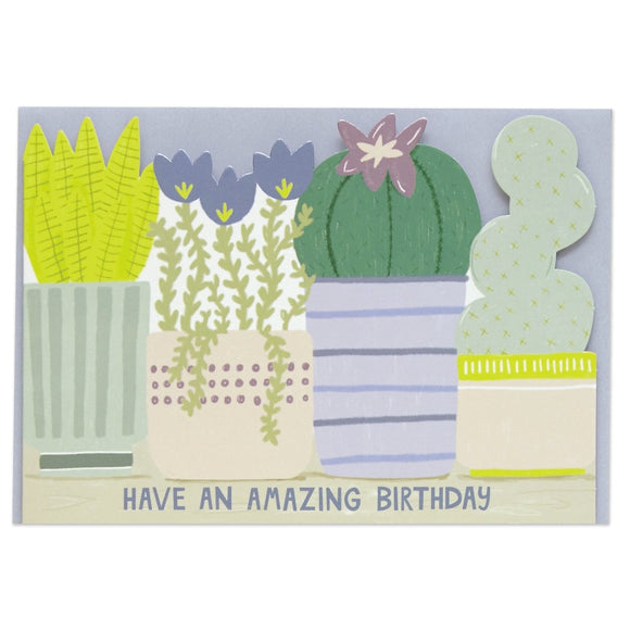 This lovely birthday card is decorated a row of cacti, succulents and houseplants with metallic foil detailing. Metallic text on the front of the card reads 