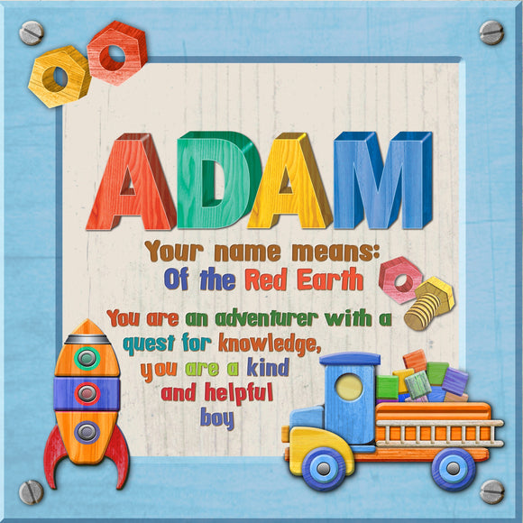 Tidybirds name meanings name definition plaque for kids ADAM Nickery Nook