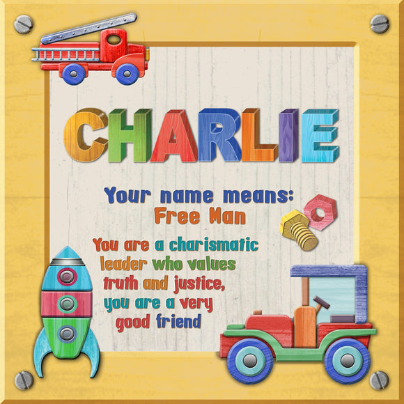 Tidybirds name meanings name definition plaque for kids CHARLIE Nickery Nook