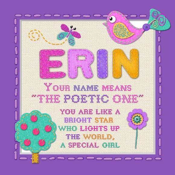 Tidybirds name meanings name definition plaque for kids ERIN Nickery Nook