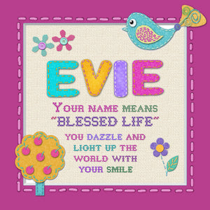 Tidybirds name meanings name definition plaque for kids EVIE  Nickery Nook