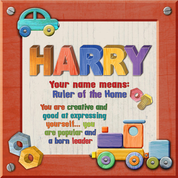 Tidybirds name meanings name definition plaque for kids HARRY Nickery Nook