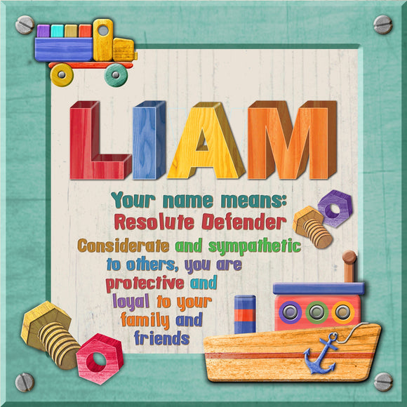 Tidybirds name meanings name definition plaque for kids LIAM Nickery Nook