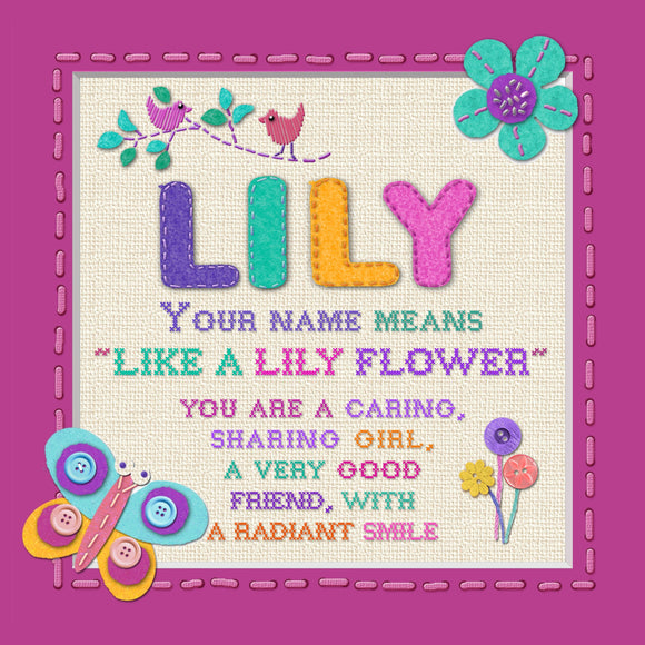 Tidybirds name meanings name definition plaque for kids LILY Nickery Nook