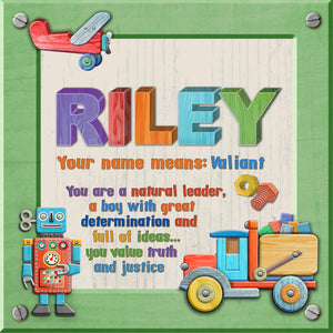 Tidybirds name meanings name definition plaque for kids RILEY Nickery Nook
