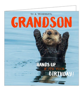 This quirky Birthday card for a special grand-son is decorated with a photograph of otter floating in water with its paws in the air. The text on the front of the card reads "To a wonderful Grandson, HANDS UP IF IT'S YOUR BIRTHDAY!"