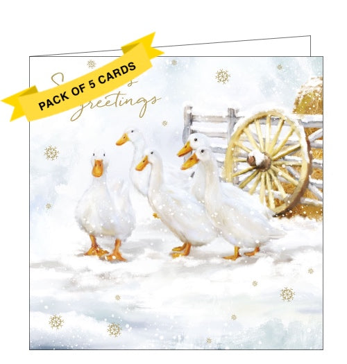This pack of charity Christmas cards includes 5 cards of one design. The artwork shows a gaggle of five geese standing out in the snow. Gold text on the front of the card reads 