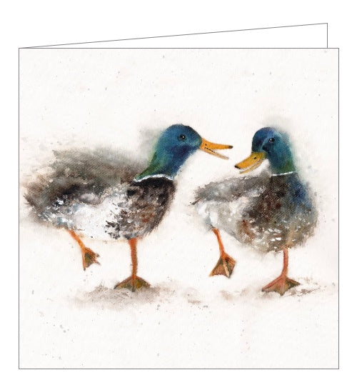 This lovely blank greetings card features artwork by Sarah Reilly showing two mallard ducks walking together.