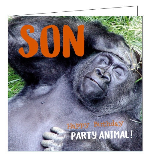Son, you party animal - Birthday card