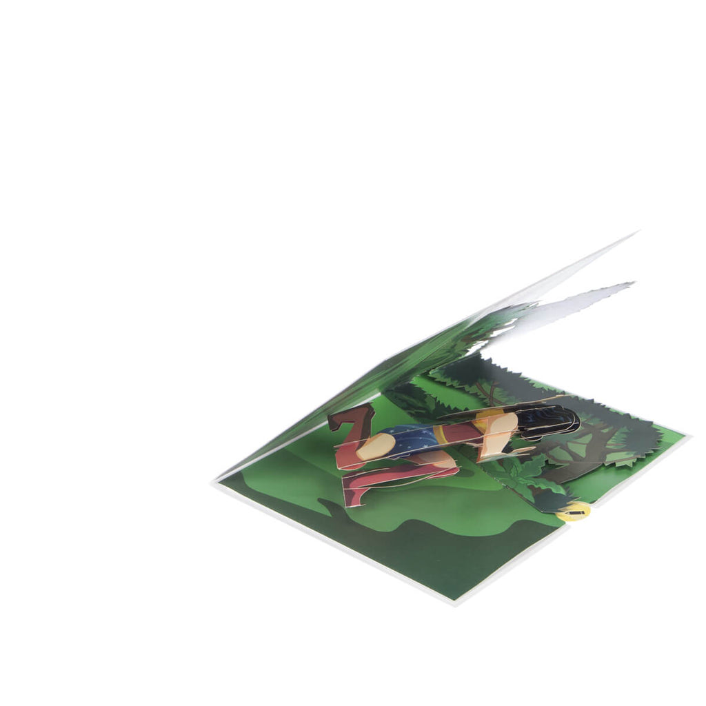 Wonder Woman - DC Comics 3d pop up card