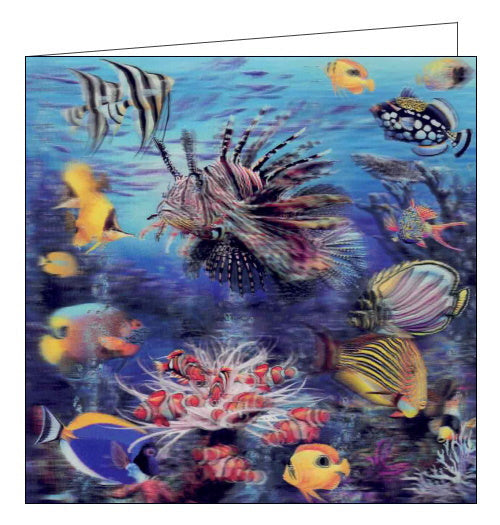 Wonders of the Reef - 3D Live Life Cards