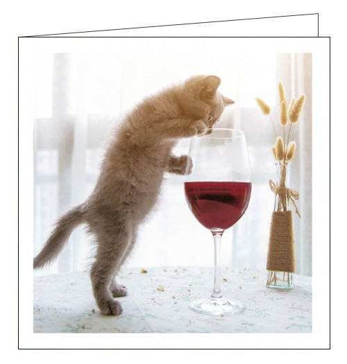 This cute blank greetings card from Woodmansterne's Cattitude range is decorated with a photograph of a tabby kitten peering into a glass of red wine.