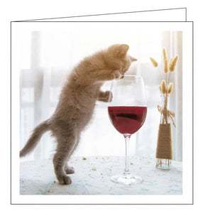 This cute blank greetings card from Woodmansterne's Cattitude range is decorated with a photograph of a tabby kitten peering into a glass of red wine.