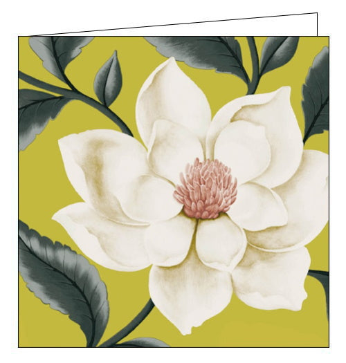 This blank greetings card features detail from one of Sanderson's iconic interior fabric and wallpaper prints showing a close up of a Grandiflora Magnoilia in bloom against a chartreuse background.  Grandiflora magnificent magnolia bloom vividly reproduced in beguiling colourways, The subtle nuance of light and shade give the flowers a luminous waxy quality.