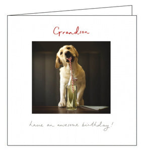 This birthday card for a special Grandson features a cute photograph of a labrador puppy using a straw to drink from a bottle. The text on the front of the card reads "Grandson have an awesome birthday!"