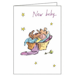 This anniversary card from Quentin Blake features an adorable little baby, curled up with a teddy bear, in a wicker basket. The text on the front of the card reads "New Baby".