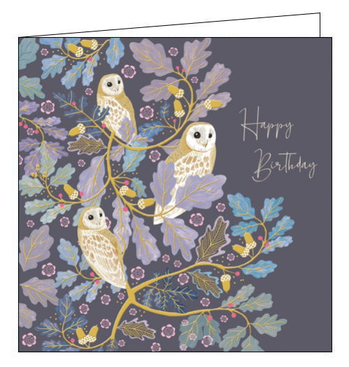 This beautiful birthday card from the National Trust is decorated with an illustration of three owls resting on a tree branch. The text on the front of the card reads 