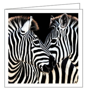This blank greetings card from Woodmansterne's photographic card range features a photograph of a pair of zebras facing each other.