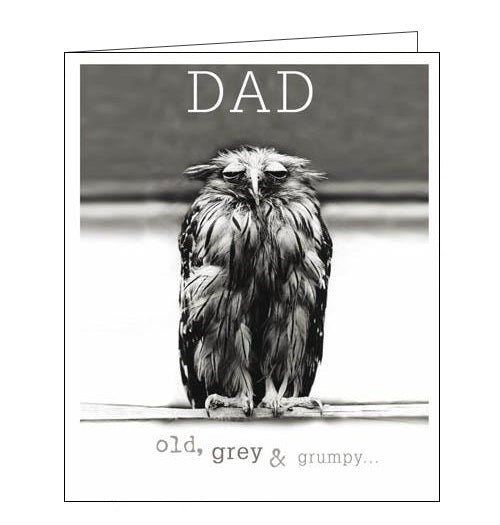 Woodmansterne Framed Dad Wise Owl Happy Birthday card Nickery Nook
