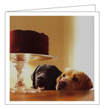 Woodmansterne Loose Leashes dogs cake Forbidden treasure blank card Nickery Nook