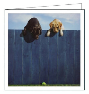 Woodmansterne Loose Leashes dogs out of the park blank card Nickery Nook