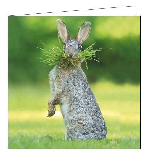 Woodmansterne NGS Gardeners Little Helper bunny rabbit blank card Nickery Nook