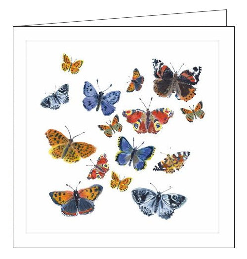 Woodmansterne butterflies mary woodin Millbank blank card Nickery Nook
