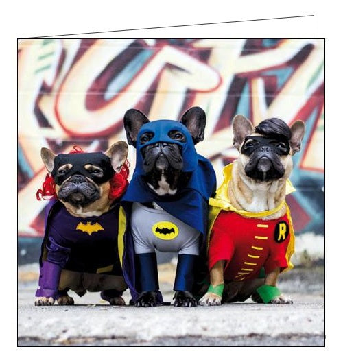 Woodmansterne framed superhero dogs in costume this looks like a job for Birthday card Nickery Nook