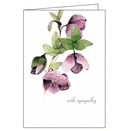 Woodmansterne sarah creswell lilac hellebore with sympathy card Nickery Nook