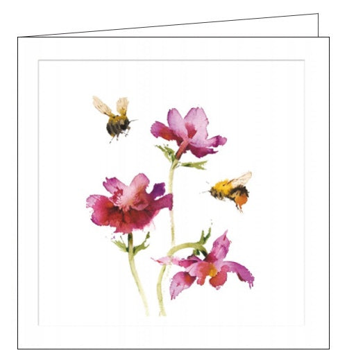 Bees and Anemones - blank greeting card