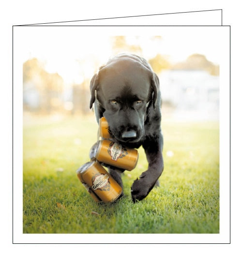 This blank card is from the fantastic Loose Leashes greetings card range featuring beautiful photographs of dogs enjoying life to the fullest. A black labrador gently carries a six-pack of beers in its mouth.