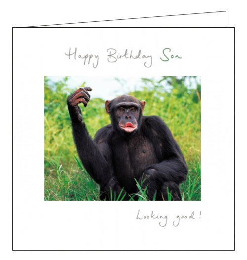 This funny birthday card for a special Son features a photograph of a chimp pulling a face. The text on the front of the card reads 