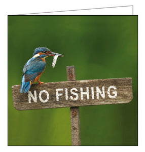 Woodmansterne no fishing kingfisher rspb charity card