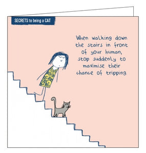 This funny blank greetings card from the Secrets to Being a Cat range shows a cartoon of a woman walking down stairs with a grey cat leading the way. The caption on the front of the card reads "When walking down the stairs in front of your human, stop suddenly to maximise their chance of tripping".