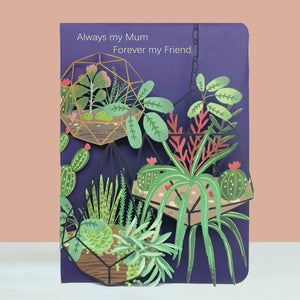 This fabulous mother's day card has a laser arrangements of three terrariums filled with succulents and cacti. The text on the card reads "Always my Mum Forever my Friend".