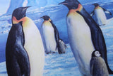 Antarctic Majesty - 3d greetings card