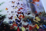 Butterfly Woods - 3d greetings card