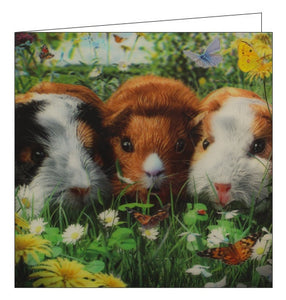 This stunning blank greetings card features detail from an artwork by David Penfound showing three guinea pigs surrounded by flowers and butterflies. A lenticular effect has been added to the image so the guinea pigs and butterflies seem to be 3d.