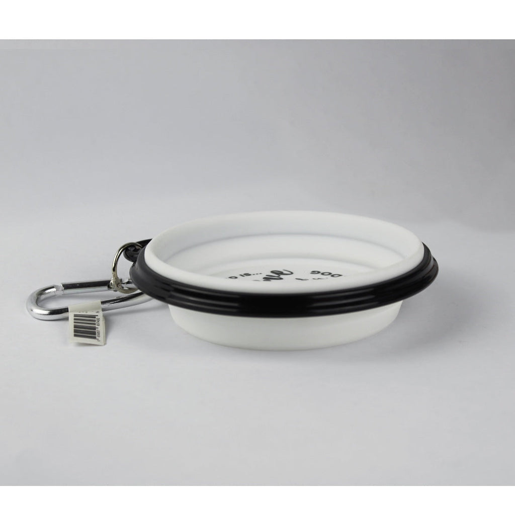 Chihuahua short haired - Collapsible Travel Dog Bowl