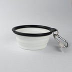 Chihuahua short haired - Collapsible Travel Dog Bowl