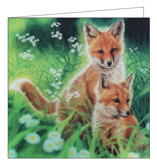 This stunning blank greetings card features detail from an artwork by Joh Naito showing two fox cubs in a field of daisies. A lenticular effect has been added to the image so the fox cubs seem to be in 3d.